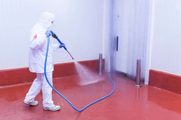Best Soft Washing  in Colfax, CA